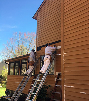 Cedar Siding Staining Md